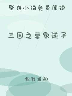 三国之曹家逆子