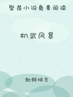 机武风暴