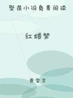 红楼梦