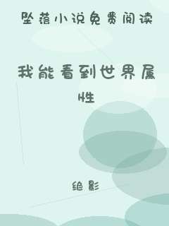 我能看到世界属性