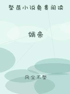 婿帝
