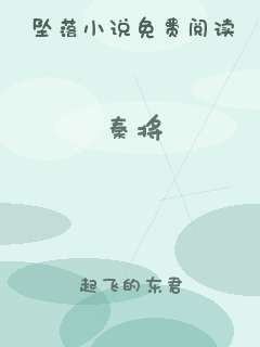 秦将
