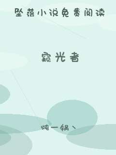 窥光者